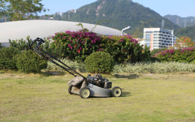 5 Essential Lawn Care Tips for Las Vegas Homeowners